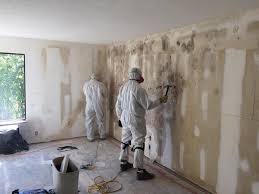 Environmental Consulting for Mold Prevention in Green Valley, MD